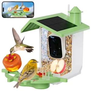 Solar Powered Smart Bird Feeder with Camera